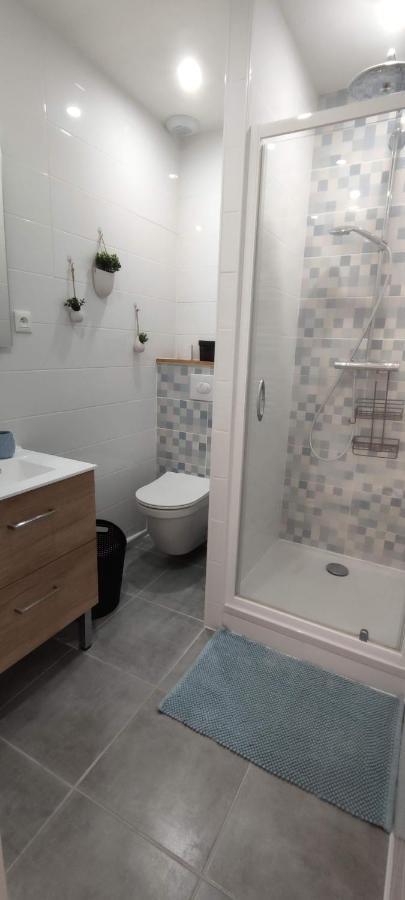 Hyper Centre-Le Regratterie-Wifi Daire Puvatya Dış mekan fotoğraf